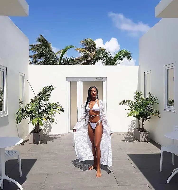 The Palm Leaf Apartments Noord Aruba